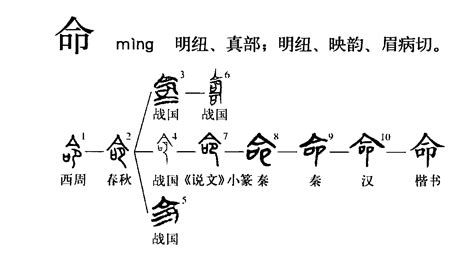 命 意思|命(漢字):字源解說,詳細字義,古籍解釋,說文解字,說文解字注,廣韻,。